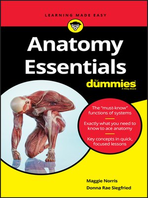 cover image of Anatomy Essentials For Dummies